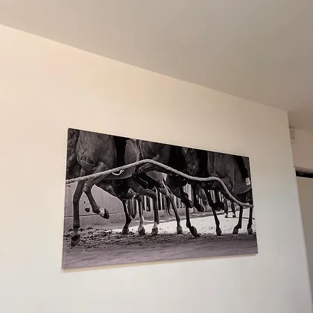 Lägenhet La Casa Del Palio